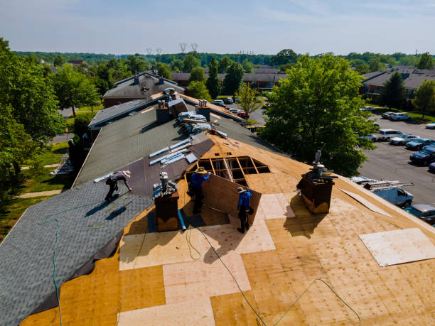 Quick and Trustworthy Emergency Roof Repair Services in Woodland Park, NE