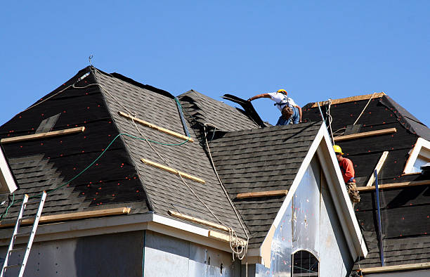 Best Roof Maintenance Services  in Woodland Park, NE
